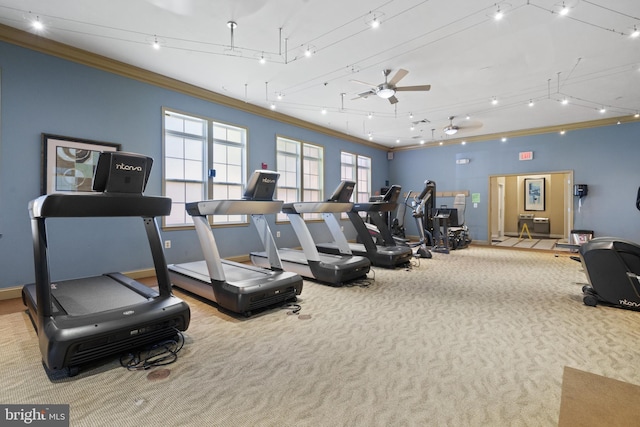 42397 Goldenseal Sq, Brambleton, VA 20148 - gym featuring crown molding, carpet floors, ceiling fan, and baseboards