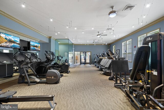 42397 Goldenseal Sq, Brambleton, VA 20148 - exercise room with carpet, crown molding, and a ceiling fan