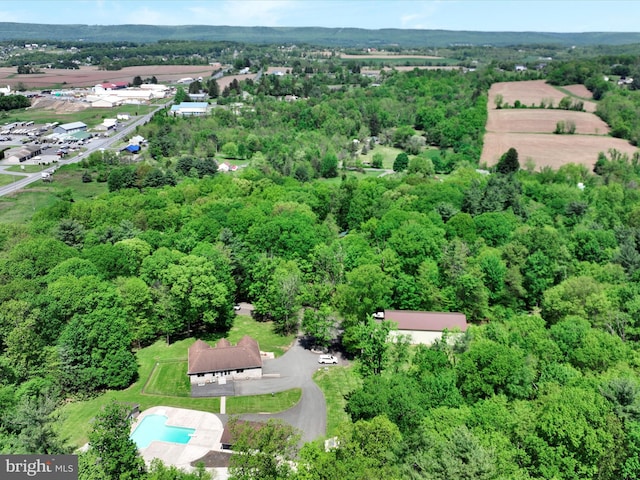773 S Rte 183, Schuylkill Haven, PA 17972 - aerial view of property's location with a forest and a pool area