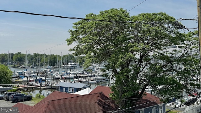 208 Eastern Ave, Annapolis, MD 21403 - dock area with a water view and view of marina