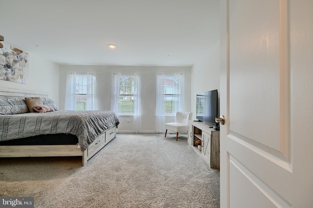 bedroom with carpet floors and baseboards