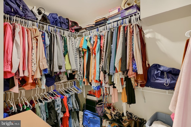 view of walk in closet