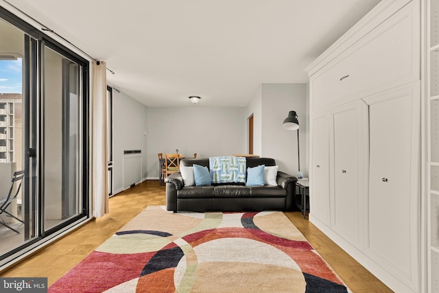 1245 4th St SW Unit E511, Washington, DC 20024 - view of living room