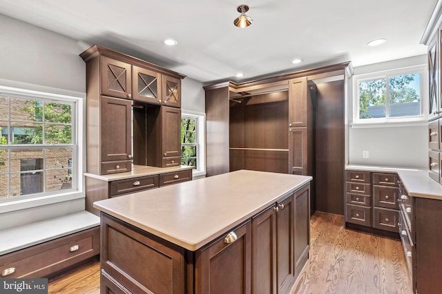 spacious closet featuring light wood finished floors