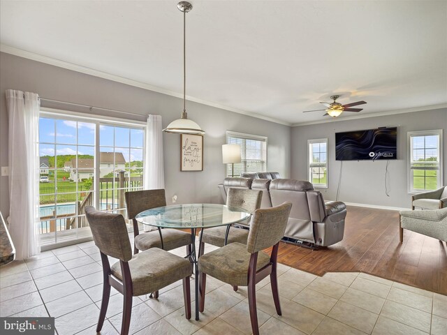 67 Tinning Ct, Hedgesville, WV 25427 - dining space with a ceiling fan, healthy amount of natural light, ornamental molding, light wood-style floors, and baseboards