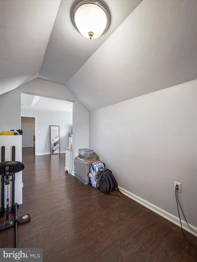 67 Tinning Ct, Hedgesville, WV 25427 - additional living space featuring lofted ceiling, wood finished floors, and baseboards