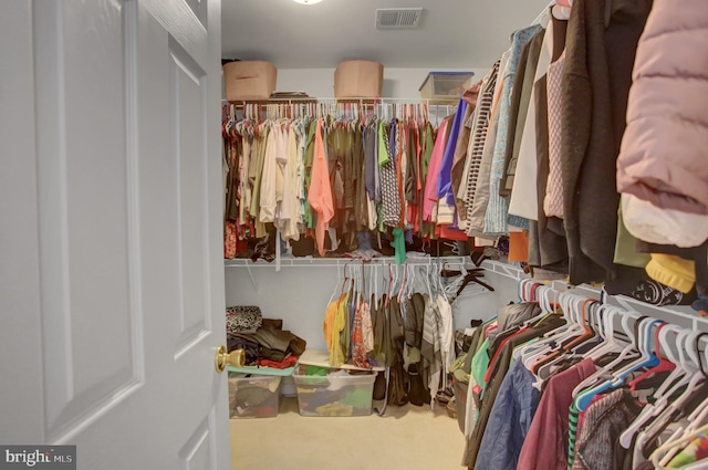 12413 Summit Vista Dr, Mercersburg, PA 17236 - view of spacious closet