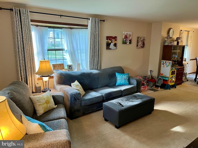 living area with carpet
