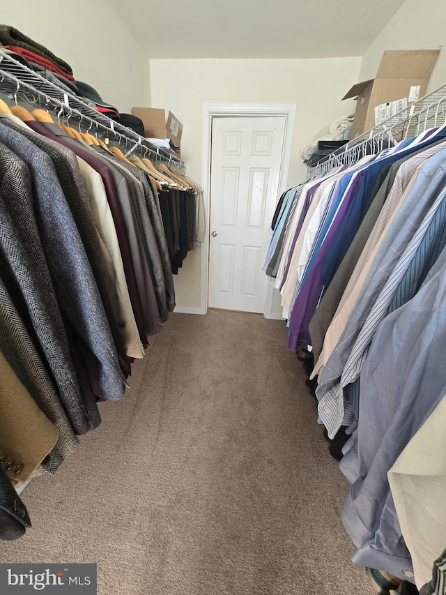 85 Malek Dr, Hanover, PA 17331 - spacious closet featuring carpet