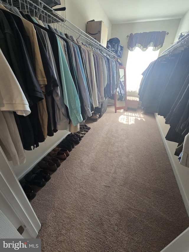 85 Malek Dr, Hanover, PA 17331 - spacious closet with carpet