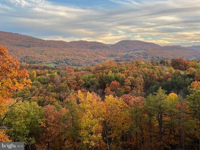 158 Hideaway Ln, Upper Tract, WV 26866 - mountain view featuring a forest