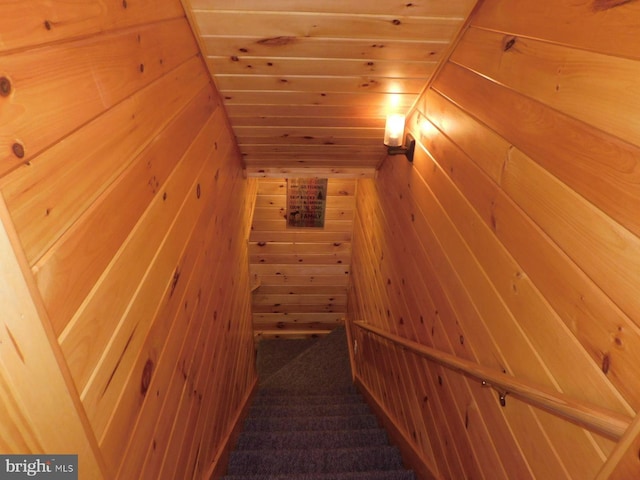 158 Hideaway Ln, Upper Tract, WV 26866 - stairway with wooden walls