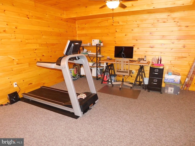 158 Hideaway Ln, Upper Tract, WV 26866 - workout area with a ceiling fan, wood walls, and carpet