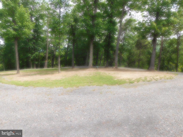 158 Hideaway Ln, Upper Tract, WV 26866 - view of street