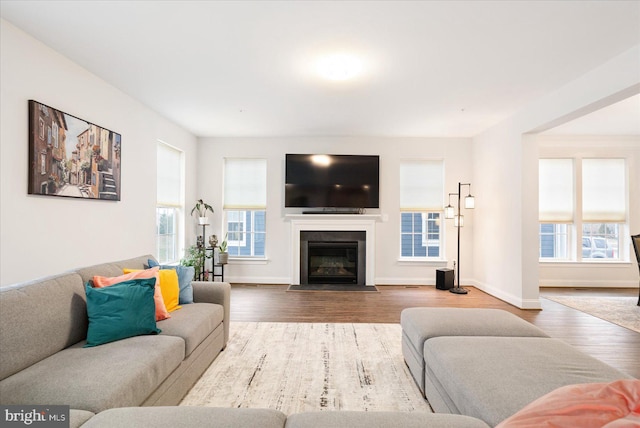 living area with plenty of natural light, wood finished floors, a glass covered fireplace, and baseboards