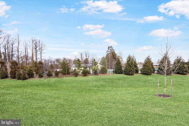 view of green lawn