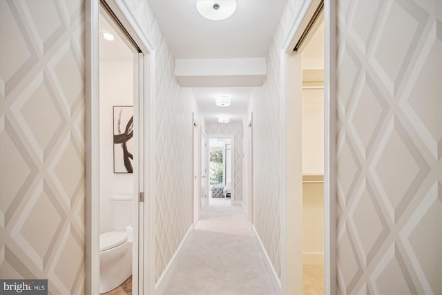 302 Ellsworth Dr, Silver Spring, MD 20910 - hallway with wallpapered walls, light colored carpet, and baseboards