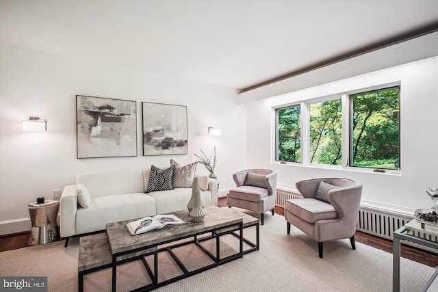 302 Ellsworth Dr, Silver Spring, MD 20910 - living area featuring light wood finished floors and baseboards