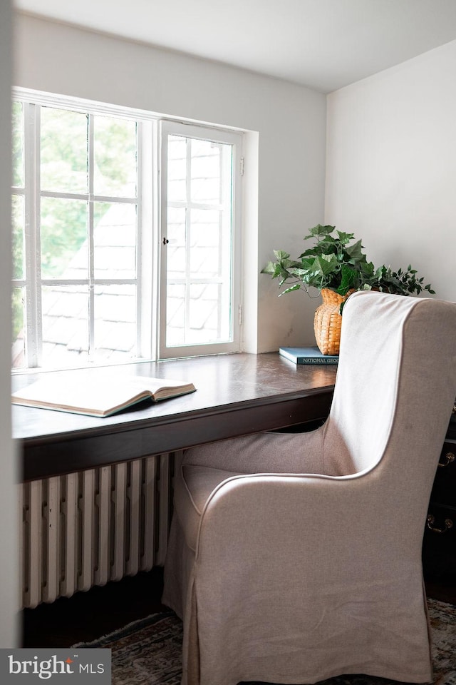 302 Ellsworth Dr, Silver Spring, MD 20910 - office with radiator and healthy amount of natural light
