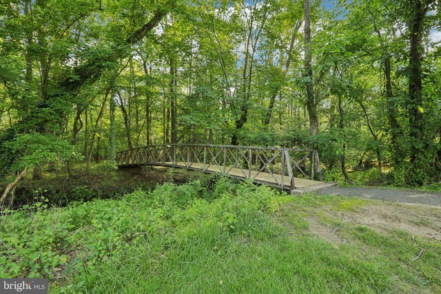 15 Horseshoe Dr, Mount Laurel, NJ 08054 - view of yard