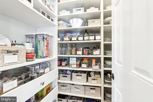 51 Farrier Ln, Newtown Square, PA 19073 - view of pantry