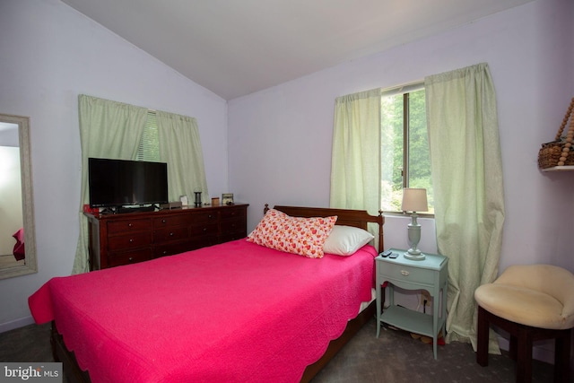 388 Monument Dr, Montross, VA 22520 - bedroom featuring vaulted ceiling and dark carpet