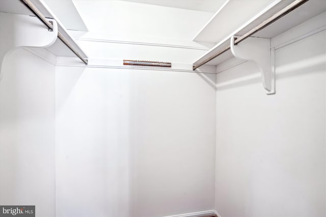 12303 Captain Smith Ct, Rockville, MD 20854 - view of walk in closet