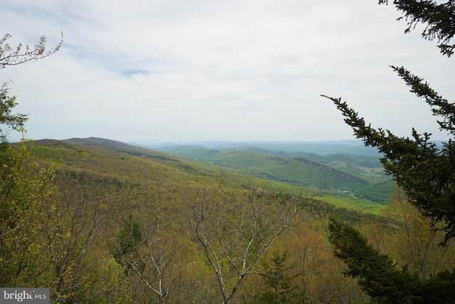 view of mountain backdrop featuring a heavily wooded area