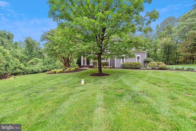 view of grassy yard