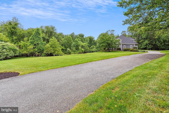 view of asphalt driveway
