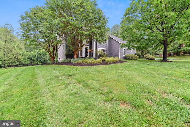 view of grassy yard