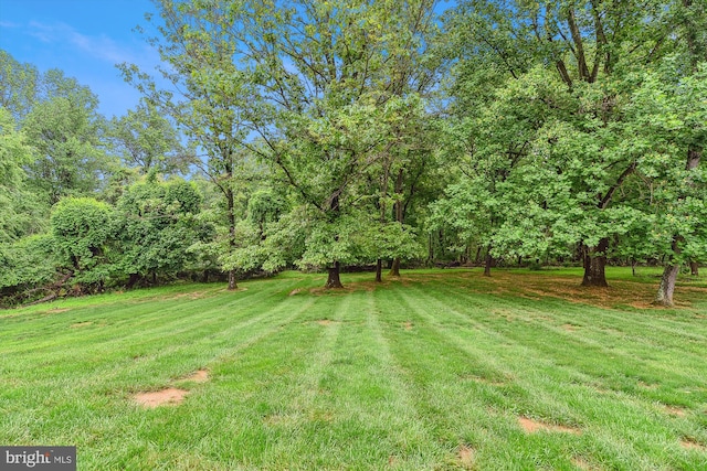 view of green lawn