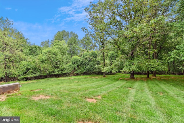 view of green lawn featuring a view of trees