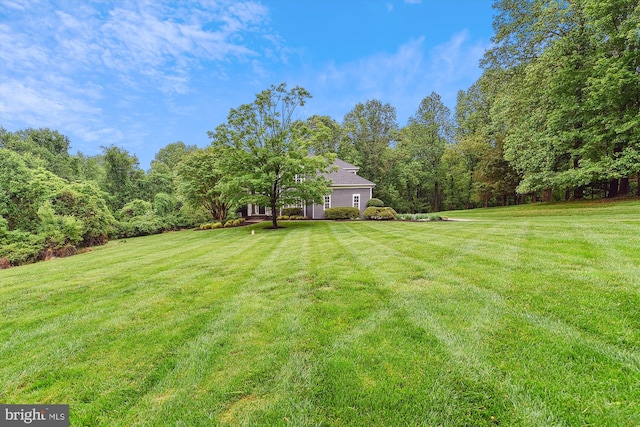 view of green lawn featuring a wooded view