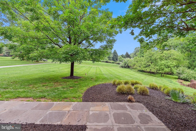 view of green lawn