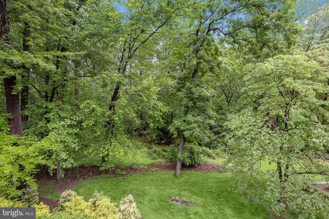 view of green lawn featuring a wooded view