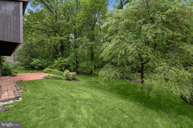 view of green lawn