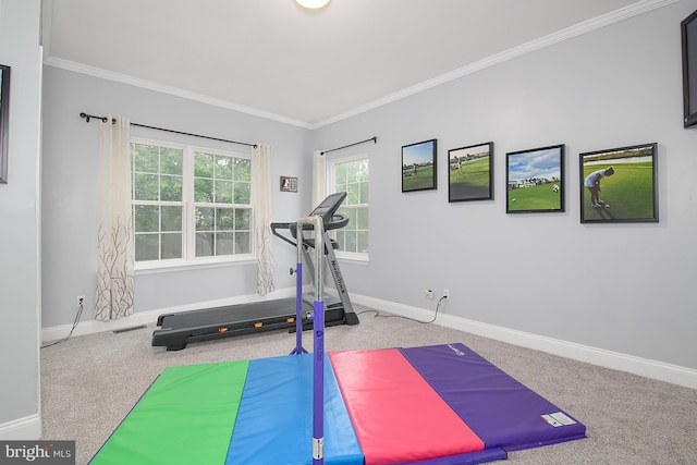 28 Blue Spruce Dr, Bear, DE 19701 - exercise room with carpet floors, baseboards, and crown molding
