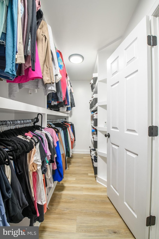 28 Blue Spruce Dr, Bear, DE 19701 - walk in closet featuring wood finished floors