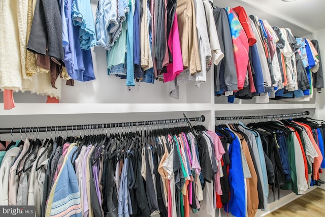 28 Blue Spruce Dr, Bear, DE 19701 - walk in closet with wood finished floors