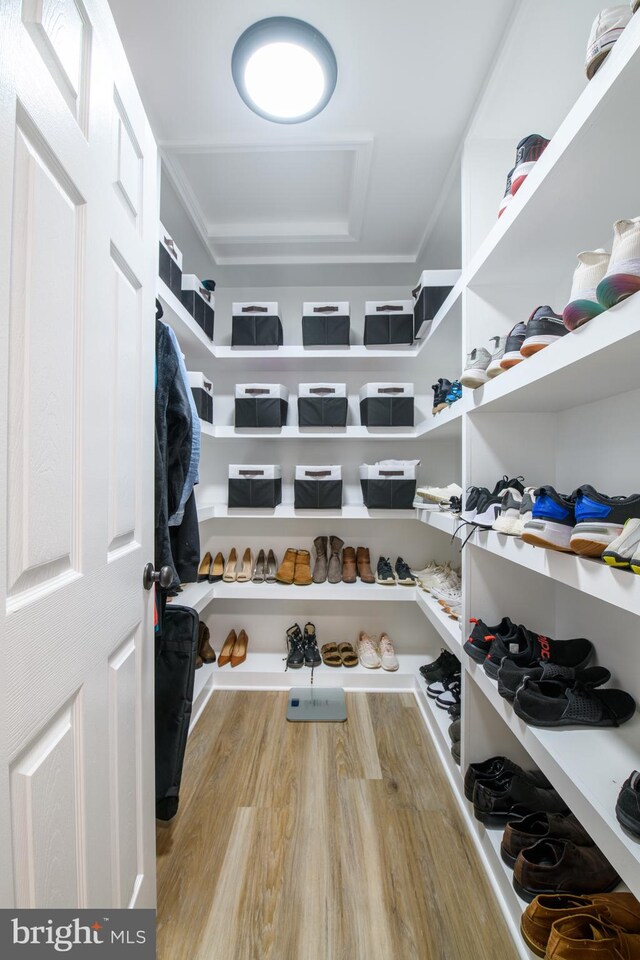 28 Blue Spruce Dr, Bear, DE 19701 - view of storage area