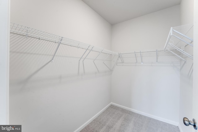 4003 Seaside Alder Rd Unit 0208, Rose, Bowie, MD 20720 - spacious closet with carpet