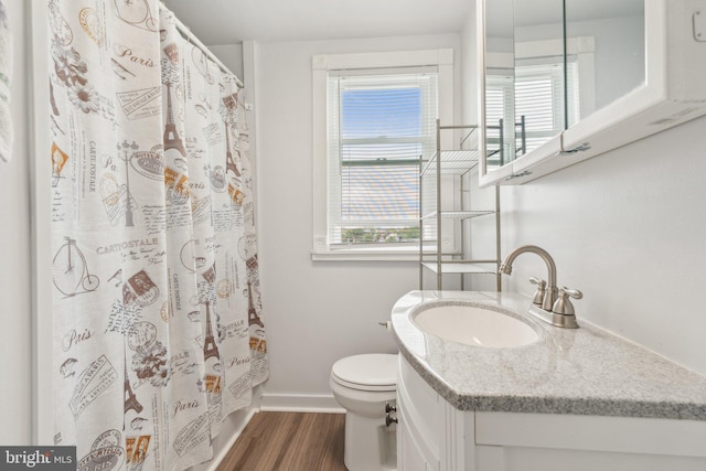 35 N Cleveland Ave, Hagerstown, MD 21740 - bathroom featuring wood finished floors, vanity, toilet, and healthy amount of natural light