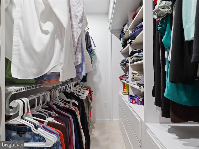 5281 Navaho Dr, Alexandria, VA 22312 - spacious closet with carpet