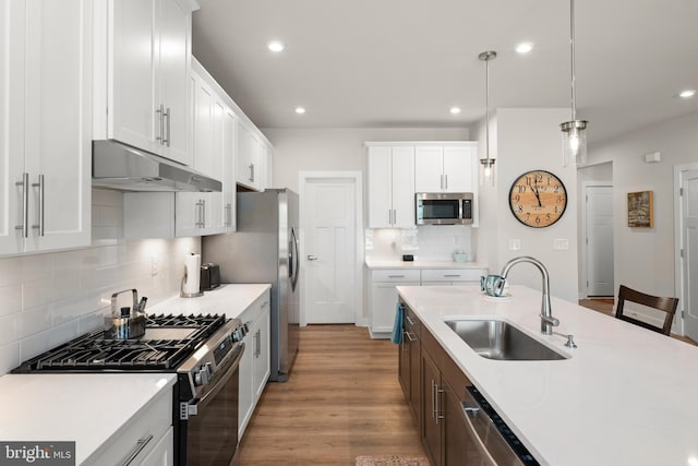 30366 Indigo Way, Georgetown, DE 19947 - kitchen featuring under cabinet range hood, appliances with stainless steel finishes, a sink, light countertops, and recessed lighting