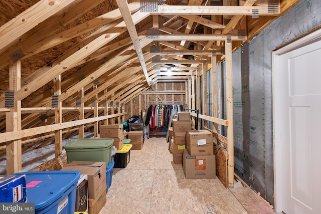 30366 Indigo Way, Georgetown, DE 19947 - view of unfinished attic