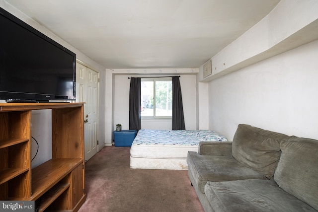 bedroom featuring carpet flooring