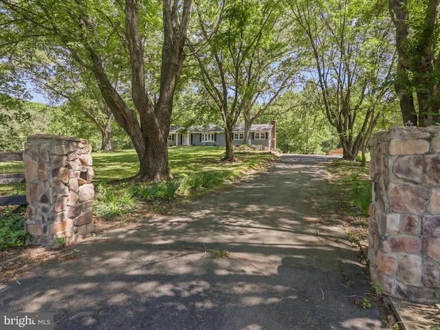 view of asphalt driveway