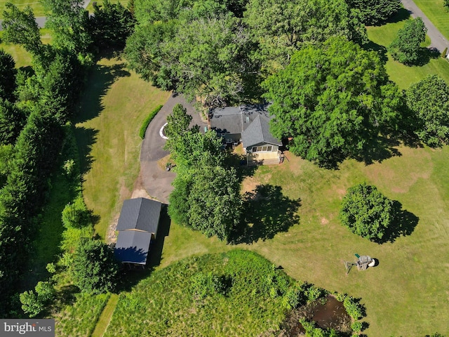 aerial view