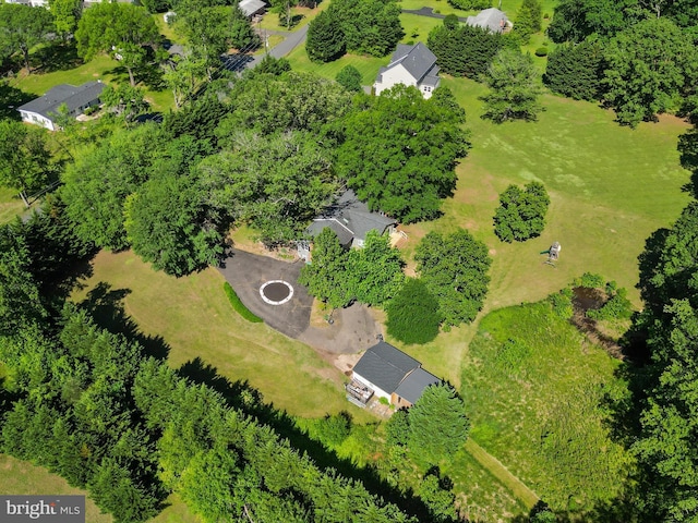 bird's eye view